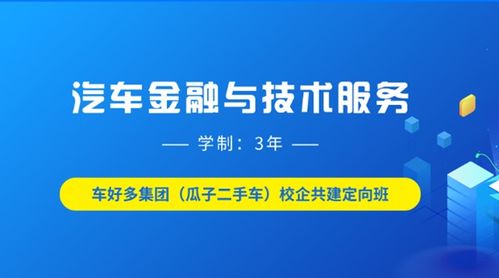 2020年热门专业 汽车金融与技术服务