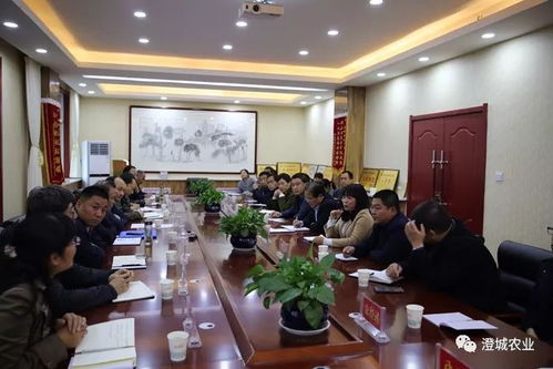 省市领导来澄调研产业脱贫技术服务工作