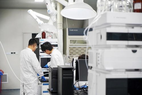 样机变产品,上海服务机构走通 概念验证 科技服务如何按下快进键 下