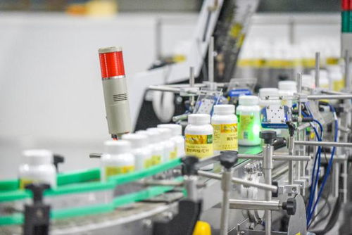 走进新国企探索新实践 从科技赋能到创新服务的绿色发展路径