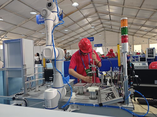 河南省第三届职业技能大赛在开封开幕，技术服务引领未来